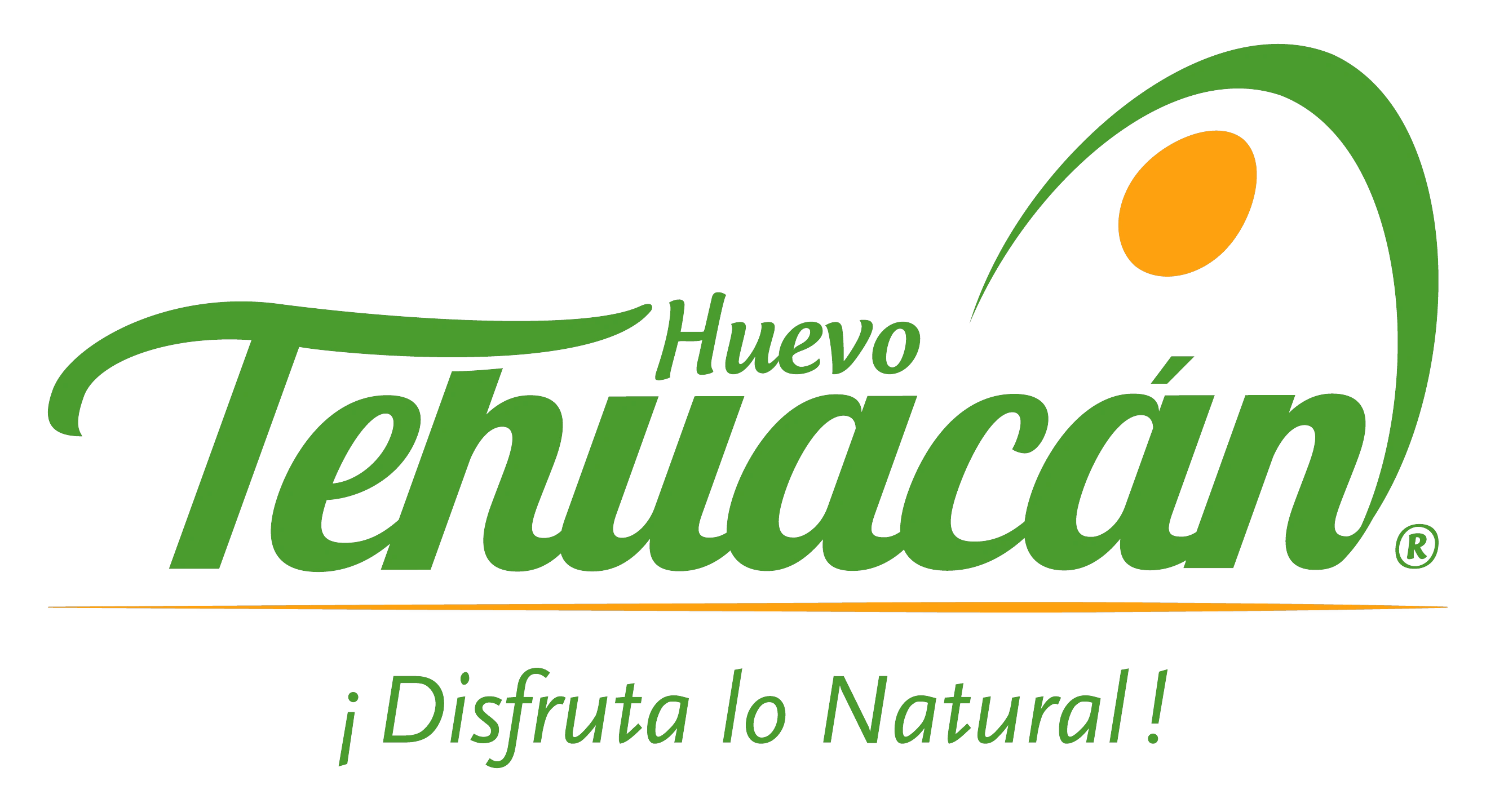 Logo Huevo Tehuacán